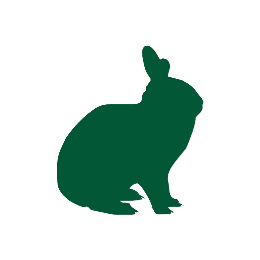 Bunny Jack Rabbit - Vinyl Decal Sticker - Multiple Colors & Sizes